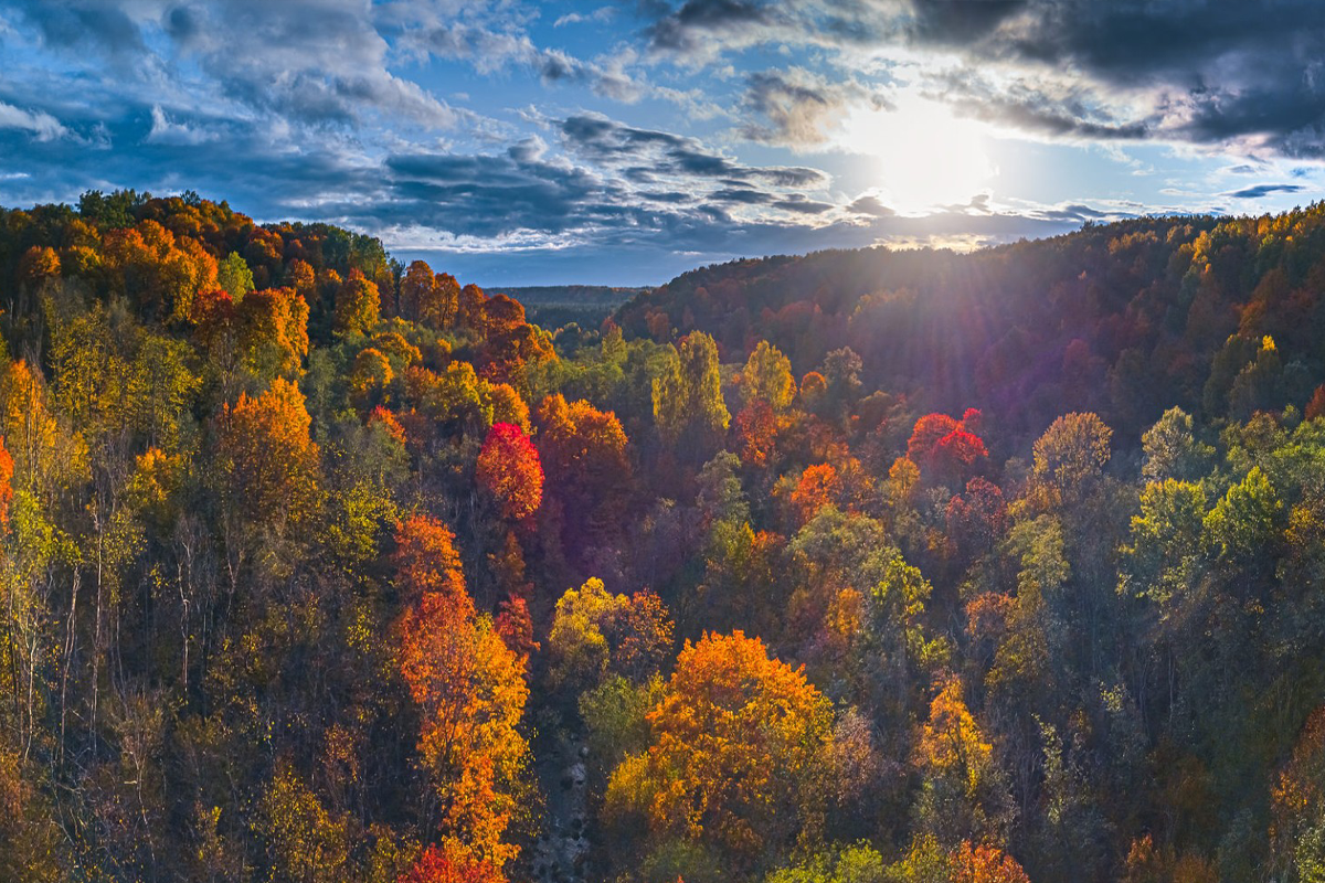 Mystery Tours at PTS Tours